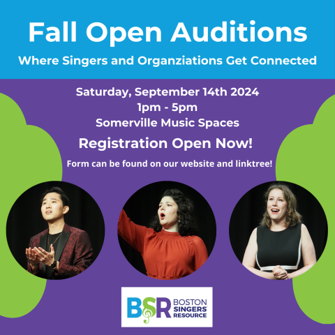 BSR's next Open Auditions will be on March 23 from 2pm-6pm at Somerville Music Spaces!