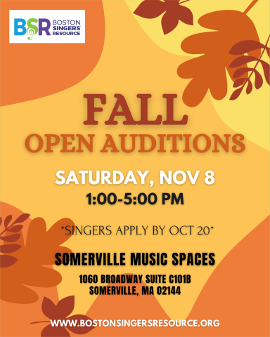 BSR's next Open Auditions will be on Nov 8 from 1-5pm at Somerville Music Spaces!